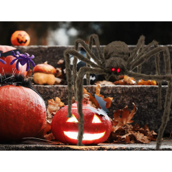 Pająk halloween olbrzym gigant tarantula dekoracja