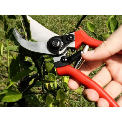 Sekator ogrodowy ręczny do gałęzi krzewów nożyce do przycinania kuty stal