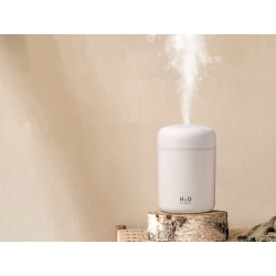 Mini nawilżacz powietrza dyfuzor zapachowy aromaterapia mgiełka usb rgb