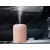 Mini nawilżacz powietrza dyfuzor zapachowy aromaterapia mgiełka usb rgb