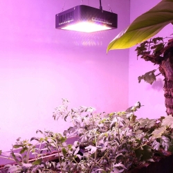 PANEL DO UPRAWY ROSLIN GROW LED 600W FULL SPECTRUM