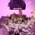 PANEL DO UPRAWY ROSLIN GROW LED 600W FULL SPECTRUM
