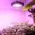 PANEL DO UPRAWY ROSLIN GROW LED 600W FULL SPECTRUM